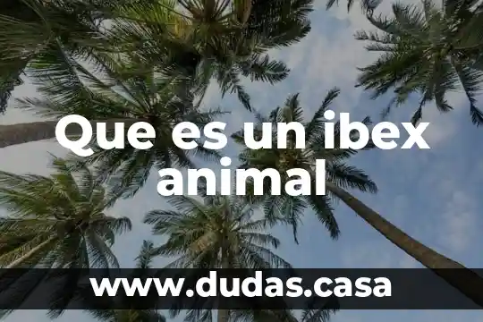 Que es un ibex animal