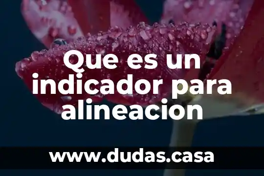 Que es un indicador para alineacion
