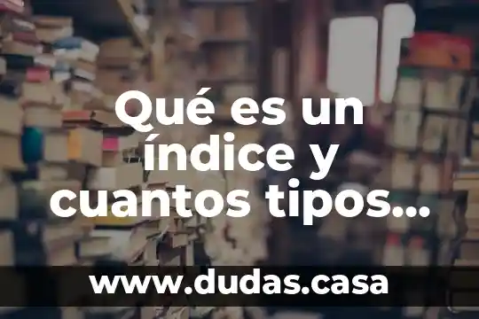 Qué es un índice y cuantos tipos hay