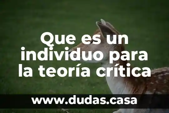 Que es un individuo para la teoría crítica