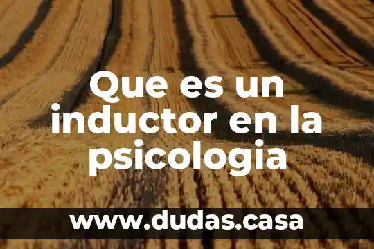 Que es un inductor en la psicologia