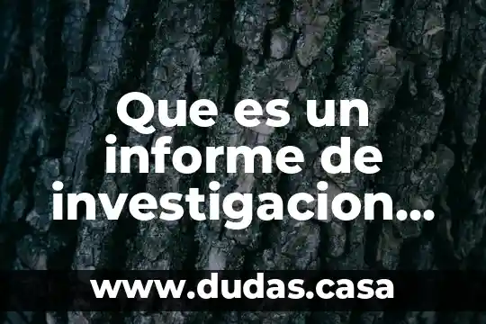 Que es un informe de investigacion en metodologia dela investigacion