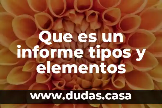 Que es un informe tipos y elementos