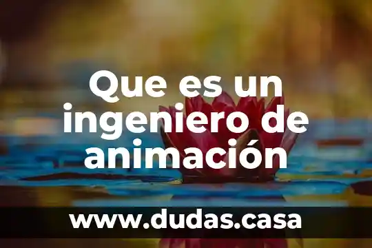 Que es un ingeniero de animación