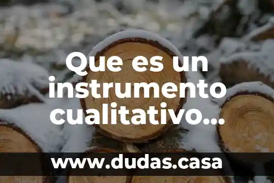 Que es un instrumento cualitativo ejemplos