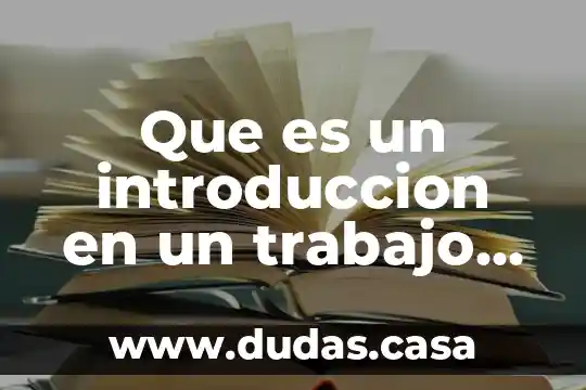 Que es un introduccion en un trabajo escrito