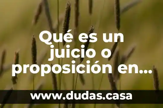 Qué es un juicio o proposición en lógica