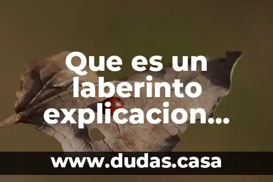 Que es un laberinto explicacion para niños