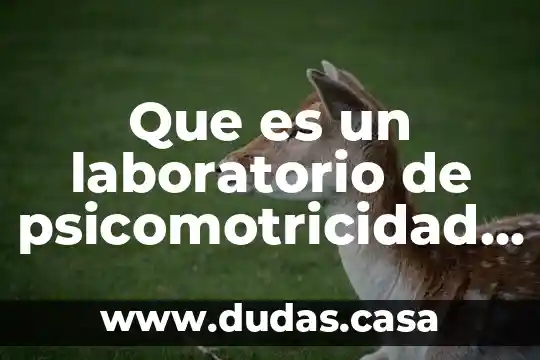 Que es un laboratorio de psicomotricidad definicion