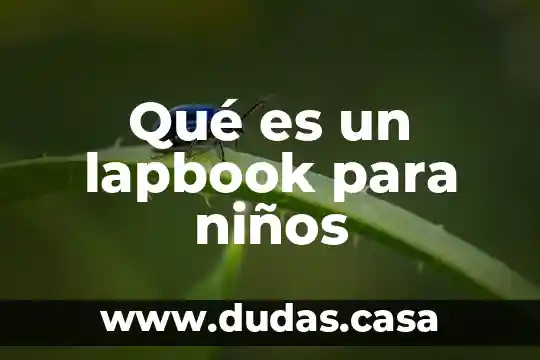 Qué es un lapbook para niños