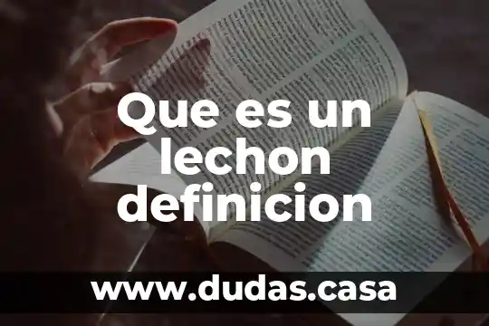 Que es un lechon definicion