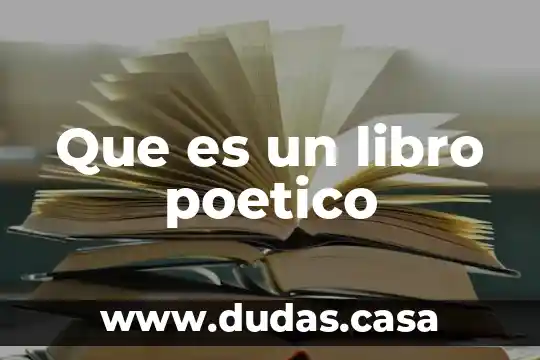 Que es un libro poetico