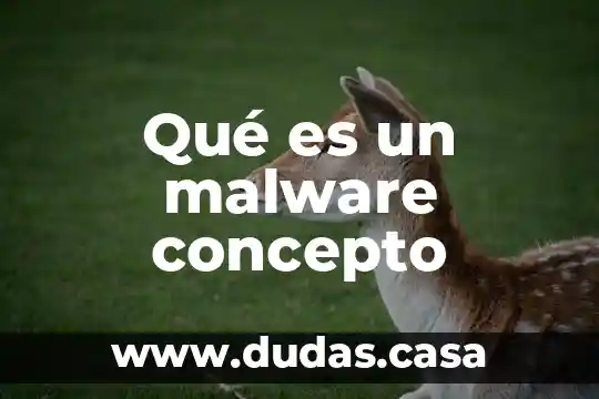 Qué es un malware concepto