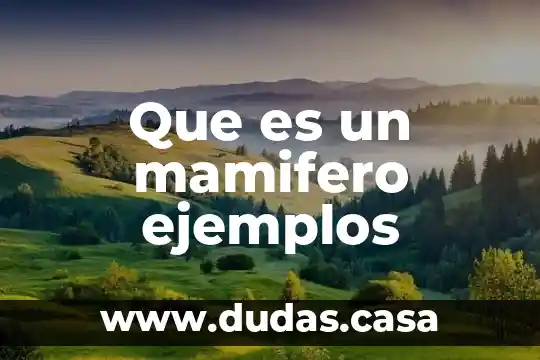 Que es un mamifero ejemplos