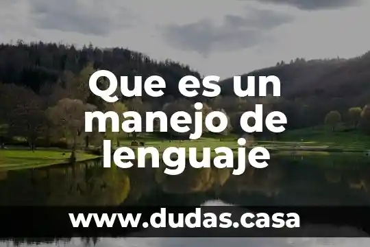 Que es un manejo de lenguaje