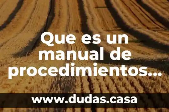 Que es un manual de procedimientos autores