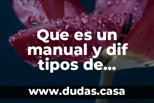 Que es un manual y dif tipos de manuales