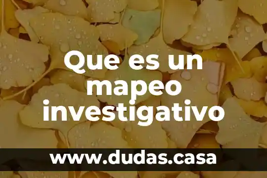 Que es un mapeo investigativo