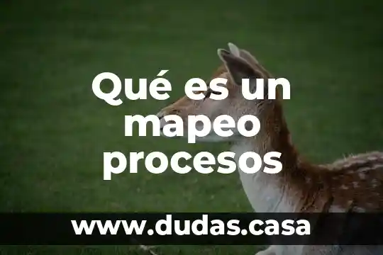 Qué es un mapeo procesos