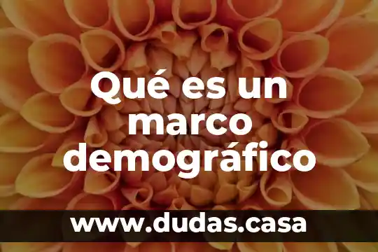 Qué es un marco demográfico