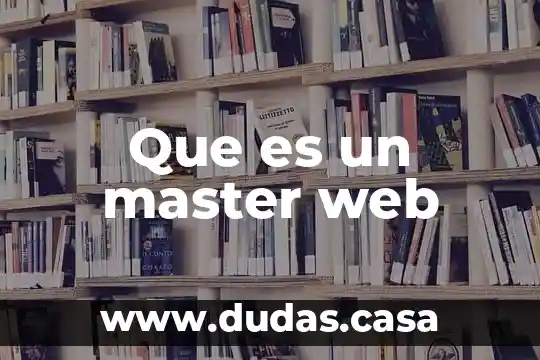 Que es un master web