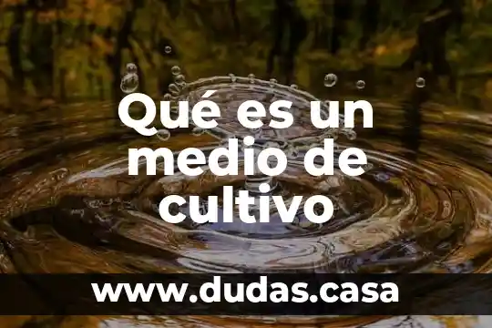 Qué es un medio de cultivo
