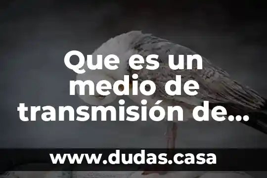 Que es un medio de transmisión de red estrella