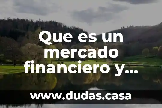 Que es un mercado financiero y como esta integrado