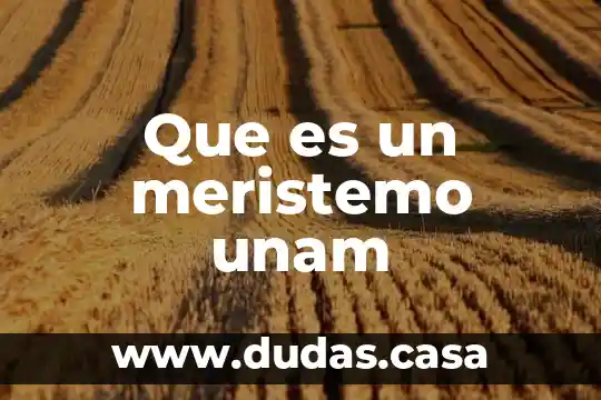 Que es un meristemo unam