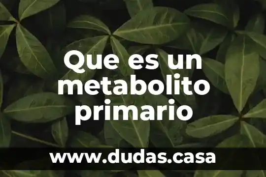 Que es un metabolito primario