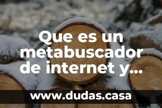 Que es un metabuscador de internet y menciona algunos ejemplos