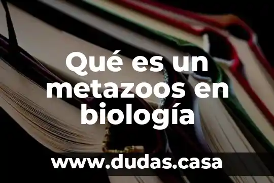 Qué es un metazoos en biología