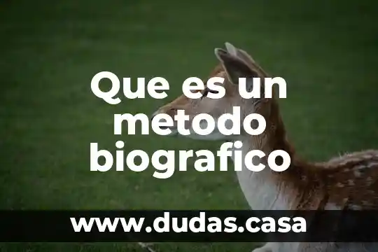 Que es un metodo biografico