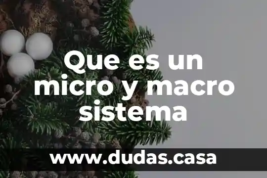 Que es un micro y macro sistema