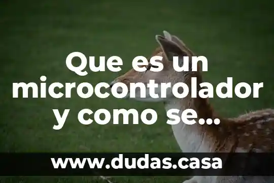 Que es un microcontrolador y como se programa