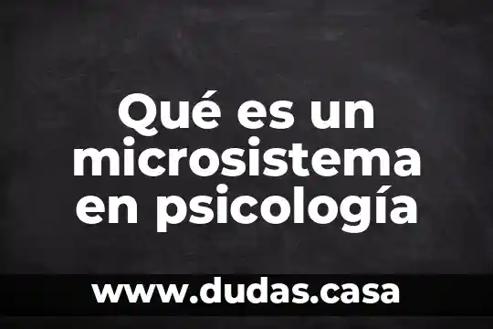 Qué es un microsistema en psicología