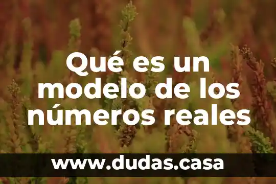 Qué es un modelo de los números reales
