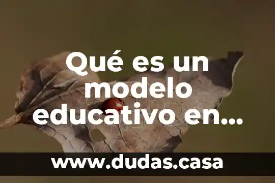 Qué es un modelo educativo en México