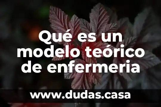 Qué es un modelo teórico de enfermeria