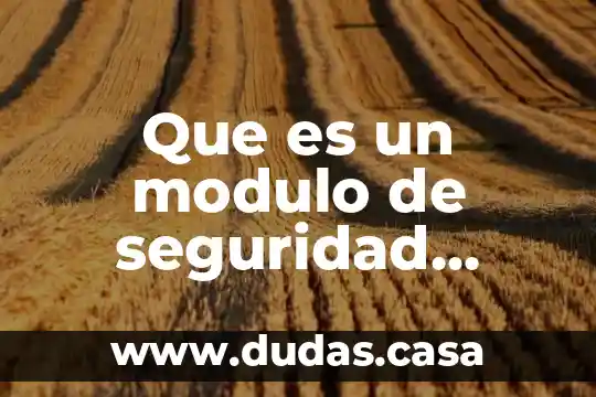 Que es un modulo de seguridad publica