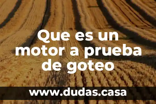 Que es un motor a prueba de goteo