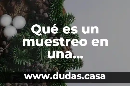 Qué es un muestreo en una investigación