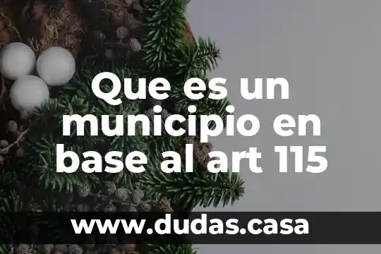 Que es un municipio en base al art 115