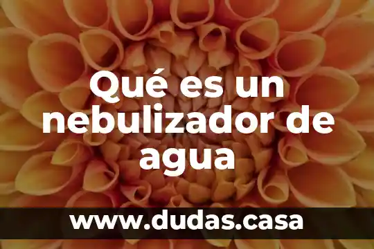 Qué es un nebulizador de agua