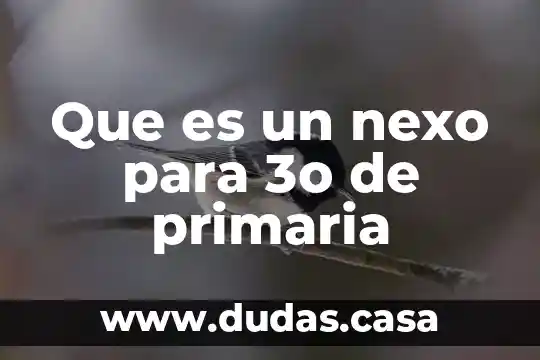 Que es un nexo para 3o de primaria