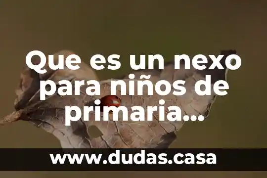 Que es un nexo para niños de primaria ejemplos