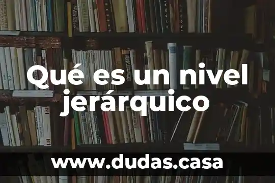 Qué es un nivel jerárquico