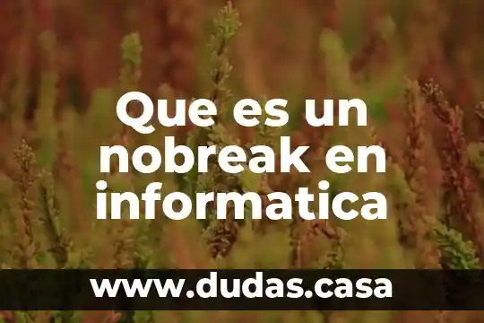 Que es un nobreak en informatica