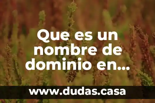 Que es un nombre de dominio en redes