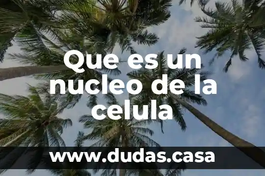 Que es un nucleo de la celula